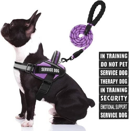 Miniatura 15 de Juego de arnés y correa para perro de servicio, arnés de entrenamiento para perro Animire con 10 parches para perros, correa reflectante para perro