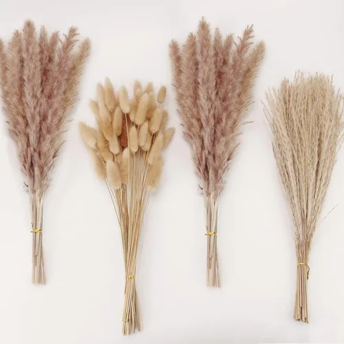 Miniatura 11 de Decoración de hierba de pampa seca natural, 100 piezas de hierba de pampa que contiene colas de conejo blancas flores secas, ramo de hierba de caña