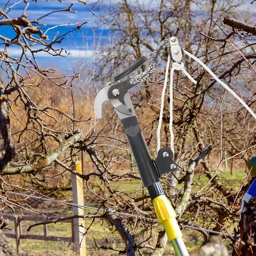 Miniatura 4 de Scicalife Tijeras de podar de 7.87 pulgadas, tijeras de podar para jardín, herramienta de mano resistente al óxido para arbustos, árboles, flores