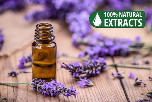 Miniatura 7 de Bless-Lavender - Varillas de incienso 100% natural, hechas a mano, sumergidas a mano, sin químicos orgánicos, sin carbón, purificación, relajación