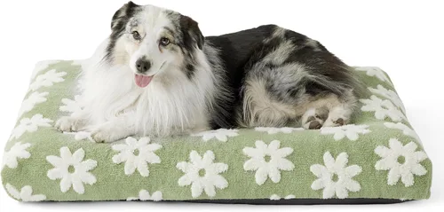 Miniatura 29 de LE SURE - Cama pequeña para perro con espuma triturada gruesa, cama para interiores con funda afelpada extraíble y base antideslizante, verde