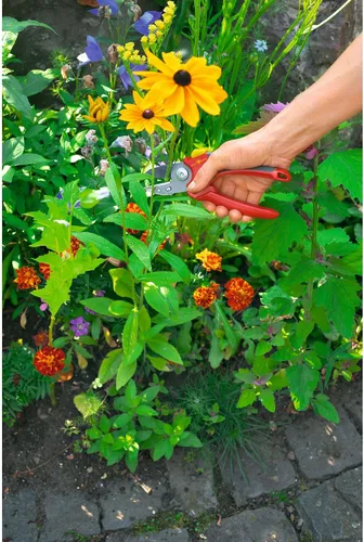 Miniatura 8 de Wolf-Garten RS2500 - Tijeras de podar yunque (11.4 x 1.5 x 1.1 in), color rojo