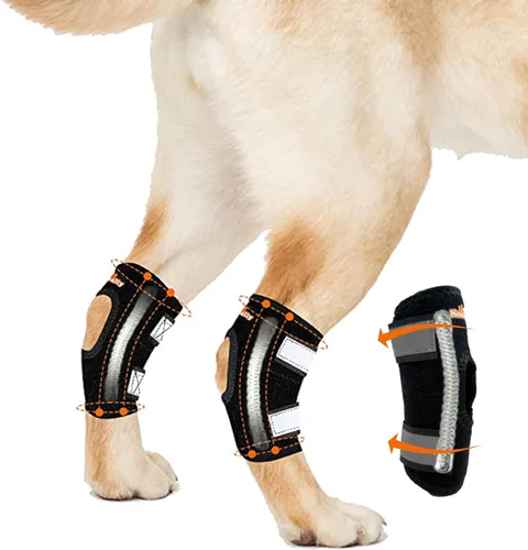 NeoAlly Soportes de perro de gran apoyo para articulación trasera de corvejón con tiras de resorte de metal duales estabilizan las patas traseras