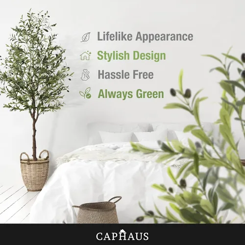 Miniatura 6 de CAPHAUS Árbol de olivo artificial en maceta de 6 pies, resistente a los rayos UV, planta sintética para interiores, realista para sala de estar