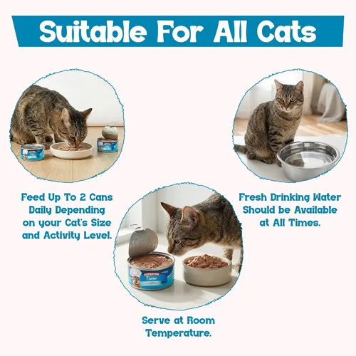 Miniatura 5 de Beefeaters Paté de atún para gatos, comida húmeda para gatos, 5.5 onzas (paquete de 24 unidades), alimento húmedo para adultos con taurina, comida