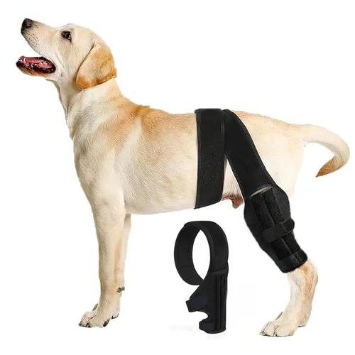 M - Rodillera para perro para pierna trasera desgarrada para apoyo con lesiones de ligamento cruzado, mejor recuperación con soportes de pierna de