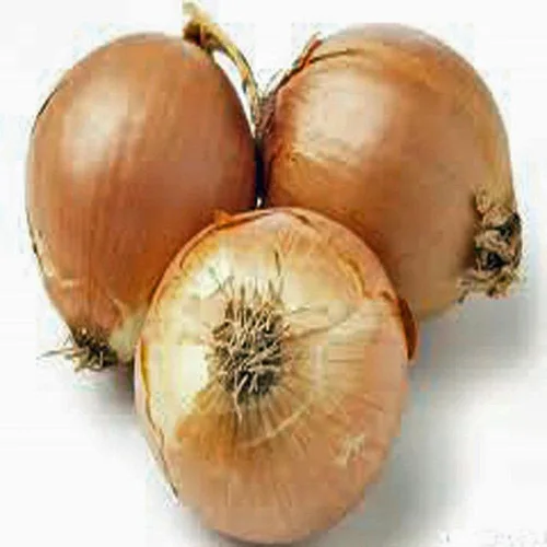 Cebolla, semillas de cebolla española amarilla, (100 semillas) reliquia, sin OMG, una de las más populares para los jardineros, esta cebolla de
