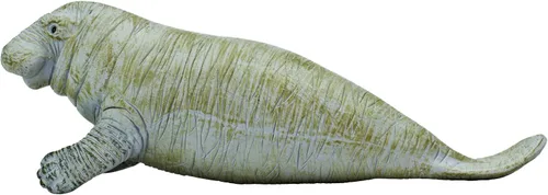 Miniatura 4 de Safari Ltd. Figura de Manatee – Figura detallada de plástico de 6 pulgadas – Divertido juguete educativo para niños, niñas y niños a partir de 3 años