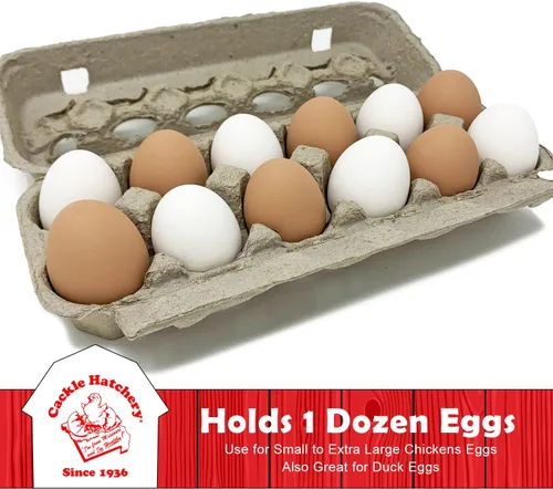 Miniatura 3 de Cackle Hatchery Cartones de huevos de pulpa de papel ventilados con capacidad para 1 docena de huevos de gallina (paquete de 24)
