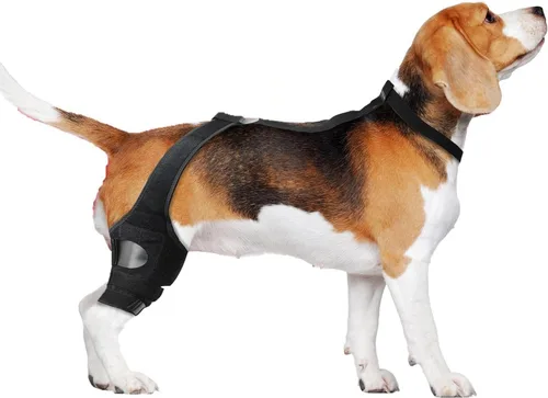 Miniatura 3 de Rodillera para perro para soporte de pierna trasera, recuperación de ACL y alivio del dolor en las articulaciones, manga de compresión ajustable