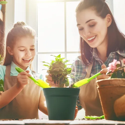 Miniatura 7 de homenote Macetas, paquete de 15 macetas de 6 pulgadas con múltiples agujeros de drenaje y platillos, macetas de plástico para todas las flores