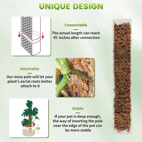 Miniatura 3 de EOX 6 Piezas Postes de Musgo de Plástico de 24 Pulgadas para Monstera, Postes Grandes en Forma de D para Plantas Trepadoras que Funcionan con Musgo