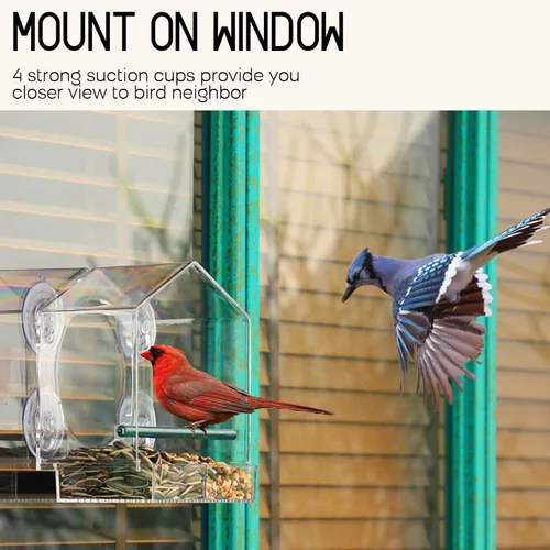 Miniatura 2 de Mrcrafts Comedero para pájaros de ventana para exteriores con ventosas fuertes, se adapta a cardenales, pinzones, carboneros, etc.