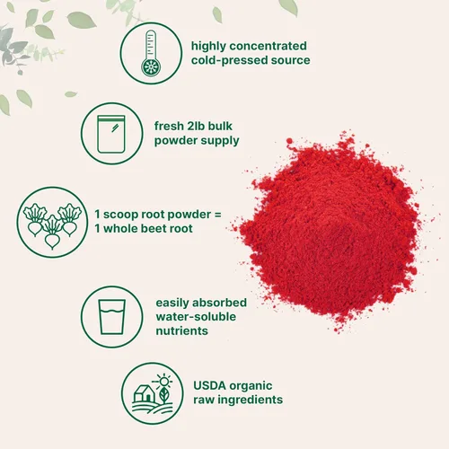 Miniatura 3 de Micro Ingredients Polvo de raíz de remolacha orgánica, 2 libras, suplemento de óxido nítrico para hombres y mujeres, suplemento de remolacha cruda