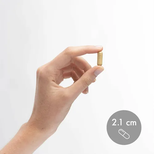 Miniatura 6 de Dr. Mercola Enzimas de la Vesícula Biliar - Apoyo para la Salud de la Vesícula Biliar y Digestiva - Incluye Proteasa Pancreática, Amilasa y Lipasa