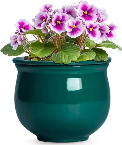 Miniatura 8 de Macetas de riego automático de 6 pulgadas para plantas de interior, macetas de cerámica violeta africana con maceta interior absorbente, maceta