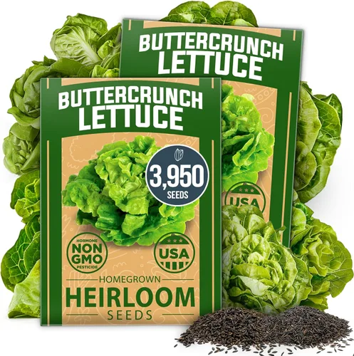 Miniatura 30 de HOME GROWN Mezcla de semillas germinantes de primera calidad, microgreens 118,200 semillas para cultivo en interiores, brócoli, alfalfa, rábano