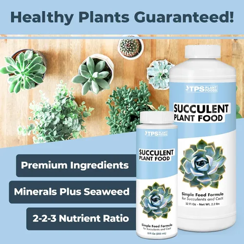 Miniatura 2 de Alimento para plantas suculentas para suculentas, cactus, jade y aloe, fertilizante líquido para plantas de interior, 1 galón (128 onzas)
