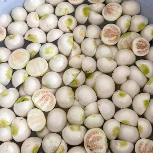 Miniatura 4 de 30 semillas de berenjena africana redonda blanca, Ca Phao Trang, semillas de berenjena blanca, adornos de plantación de jardín perenne, regalos