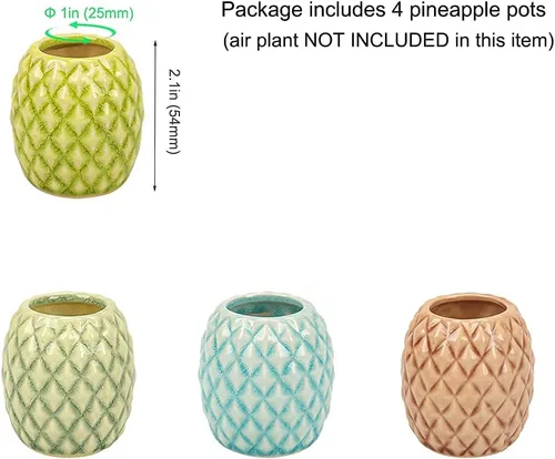 Miniatura 7 de Paquete de 4 soportes únicos para plantas de aire, lindo soporte de pared para plantas de aire de piña, soportes de cerámica Tillandsia para plantas