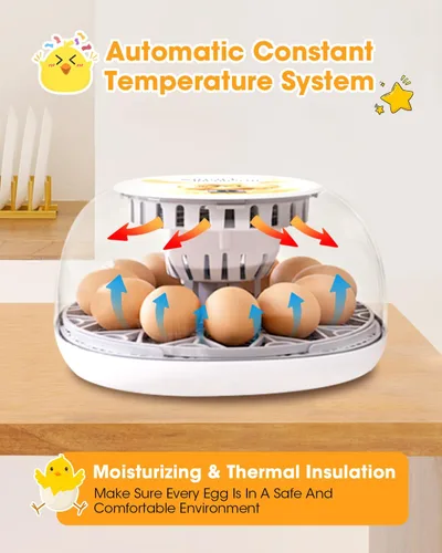 Miniatura 8 de Incubadoras para incubar huevos, tazas para dar de beber a pollos, volteador de huevos automático que contiene 12 huevos, incubadora inteligente
