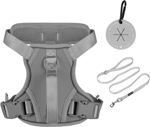 Miniatura 10 de Petmolico Arnés para perros pequeños, bonito arnés con dos clips para correa y mango suave, chaleco reflectante para cachorros fácil de caminar