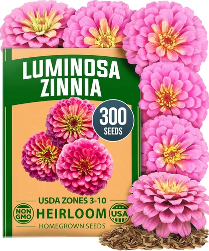 Miniatura 14 de HOME GROWN Mezcla de semillas germinantes de primera calidad, microgreens 118,200 semillas para cultivo en interiores, brócoli, alfalfa, rábano