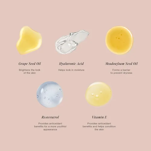 Miniatura 5 de Jouer Lápiz Corrector Esencial de Alta Cobertura - Corrector para Debajo de los Ojos para Ojeras - Maquillaje Iluminador para Círculos en los Ojos