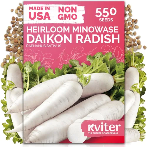 Miniatura 23 de KVITER 3100 semillas de zanahoria tiernas para plantar (Daucus carota) - Semillas de vegetales sin OMG para jardín al aire libre - Zanahorias dulces
