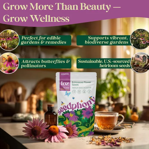 Miniatura 4 de Seedphony Paquete de semillas de equinácea de 1 onza – 9,300 semillas de equinácea sin OMG para plantar, flores perennes en paquete de semillas