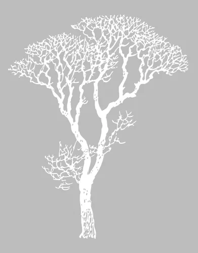 Miniatura 4 de Adhesivo decorativo para pared, diseño de ramas de árbol desnudo, negro, 6 pies de alto (72 pulgadas de alto x 58 pulgadas de ancho). Fácil