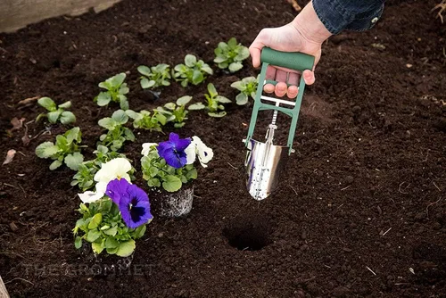 Miniatura 2 de Herramienta de plantación de bulbos verde bosque para plantar bulbos - Agarrador de tierra de 3 dedos para cavar/rellenar agujeros - Bordes cónicos