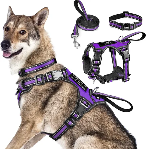 Miniatura 29 de WINSEE - Juego de arnés, collar y correa para mascotas, todo en uno, arnés reflectante para perros sin tirones con hebillas ajustables para Rojo