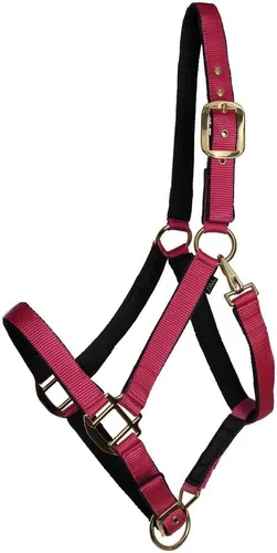Miniatura 12 de Dura-Tech Cabestro de caballo de nailon totalmente acolchado Cabestro para caballo diseñado para evitar rozaduras Corona y bordillo de caballo