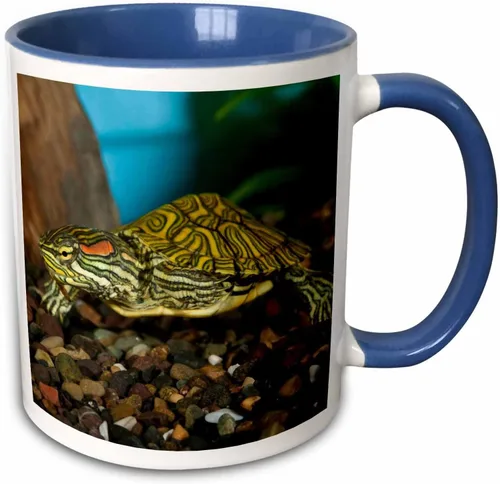 Miniatura 10 de 3dRose NA02 DNO0772 - David Northcott - Tazas (mug_84061_9)