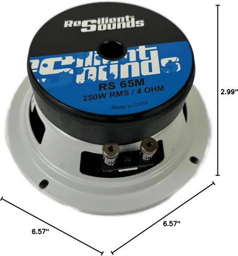 Miniatura 6 de Resilient Sounds Altavoz RS 65M 250w rms 4ohm 6.5