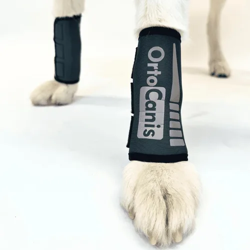 Ortocanis - Piernas para Perro - Soporte Delantero para Perro - Artritis, Lesiones de Ligamentos, Lesiones Tendinosas o Perros Agilidad - Hecho de