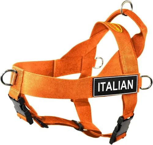 Dean & Tyler DT Universal NO Pull Dog Harness with Italian Patches, Small, Orange