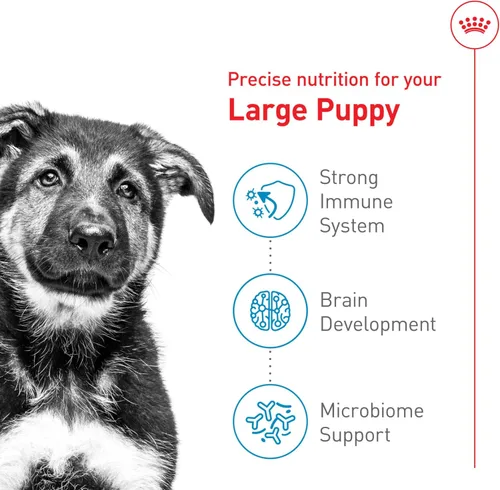 Miniatura 4 de Royal Canin Size Health Nutrition - Alimento seco para cachorros grandes, bolsa de 17 libras