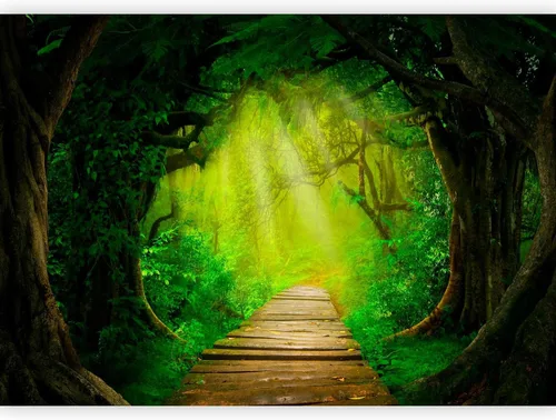 Miniatura 19 de artgeist Mural de pared prémium Bosque 177 x 124 pulgadas, papel tapiz fotográfico no tejido, impresión artística, mural de pared de forro polar