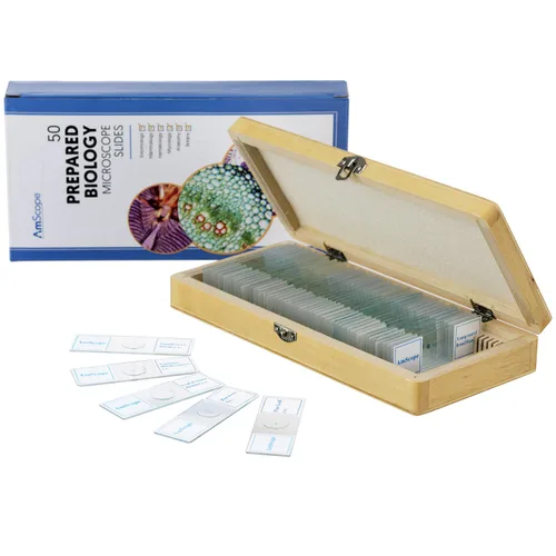 Miniatura 4 de Microscopio AmScope PS50 preparado portaobjetos de set para Biológica Básica Ciencia Educación, 50 Diapositivas, incluye carcasa ajustable de madera