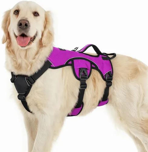 Miniatura 39 de rabbitgoo - Arnés para perro a prueba de fugas, arnés para mascotas acolchado suave de cuerpo completo, chaleco reflectante ajustable sin tirones