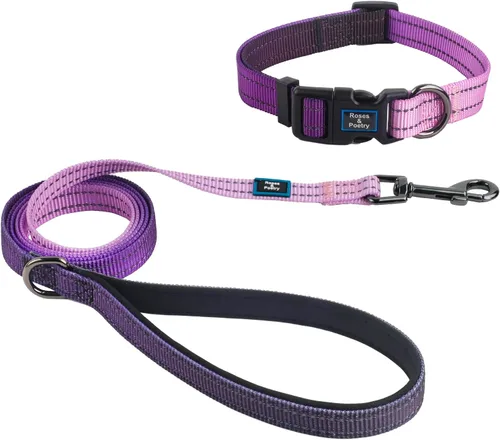 Miniatura 7 de Roses&Poetry Juego de collar y correa reflectante para perro, collar y correa de perro martingala morado para perros medianos, collares ajustables