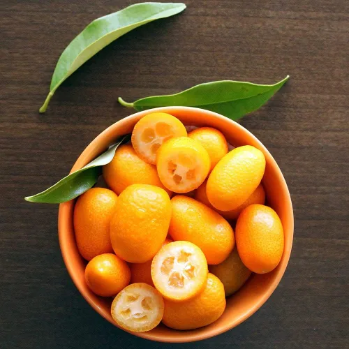 Miniatura 7 de Gardenera 's Premium Kumquat Soil Mix - Suelo para macetas de drenaje rápido para cultivar y trasplantar cítricos Japonica - 1 cuarto de galón