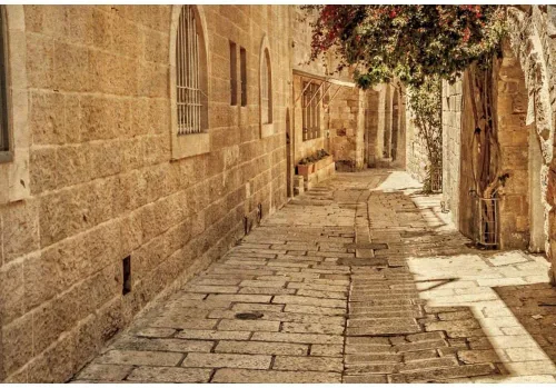 Miniatura 9 de Fondo de piedra antigua de Jerusalén de 5 x 3 pies, fondo de piedra de Jerusalén, flores de primavera, fondo de cueva de sol, para fotografía, telón