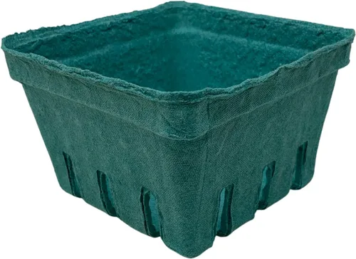 Contenedor verde de la cesta de la pulpa de la baya de la fruta de la fibra de la pinta para los tomates de la fresa de los arándanos y los