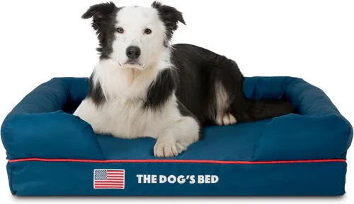 Miniatura 44 de The Dog's Bed - Cama ortopédica de espuma viscoelástica para perros medianos, colchón de soporte de alta densidad, entrada frontal baja, funda negro