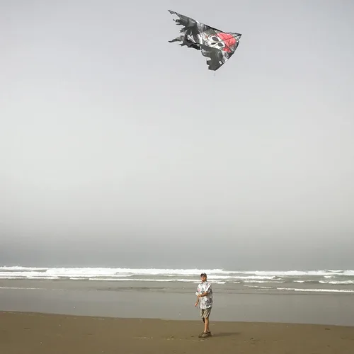 Miniatura 3 de In the Breeze 3257 — Smokin' Pirate Fringe 50" Delta Kite — Cometa voladora fácil para todas las edades, actividades de playa para niños y adultos