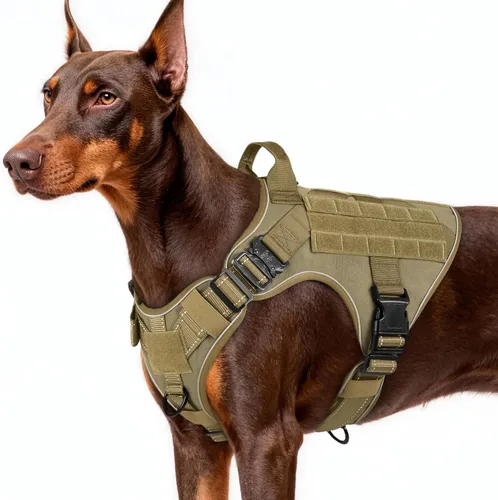 Miniatura 50 de rabbitgoo - Arnés táctico para perros pequeños, arnés resistente para mascotas con asa, chaleco de servicio sin tirones para razas pequeñas, chaleco