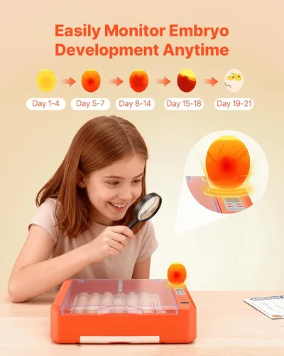 Miniatura 5 de VEVOR Incubadora de 36 huevos, incubadora automática con volteador de huevos y candelero LED y bandeja de agua, control de temperatura y humedad
